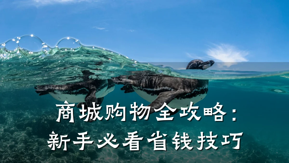 商城购物全攻略:新手必看省钱技巧