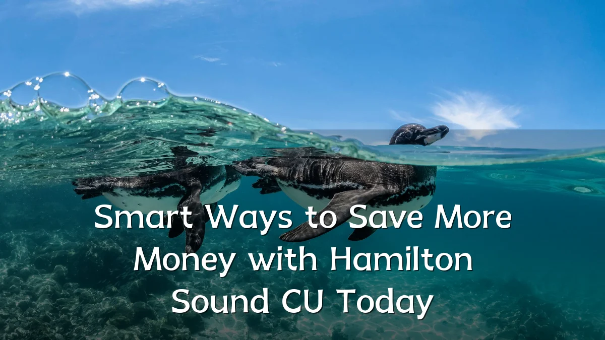 Smart Ways to Save More Money with Hamilton Sound CU Today