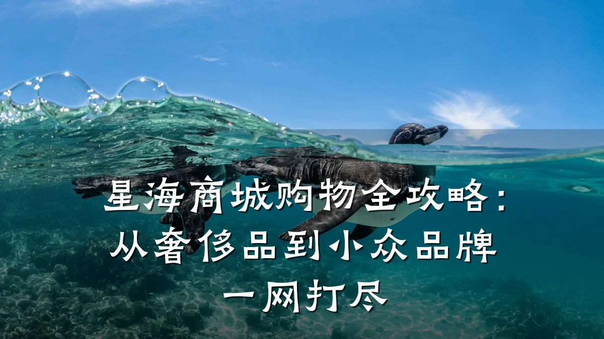 星海商城购物全攻略:从奢侈品到小众品牌一网打尽