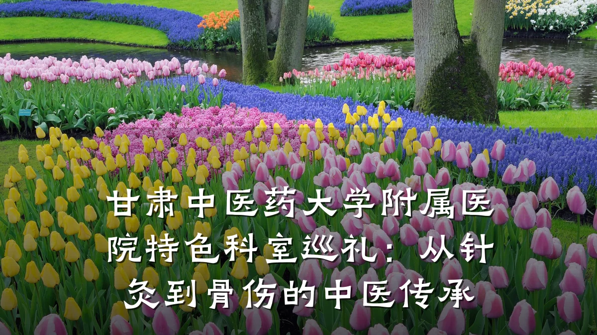 甘肃中医药大学附属医院特色科室巡礼:从针灸到骨伤的中医传承