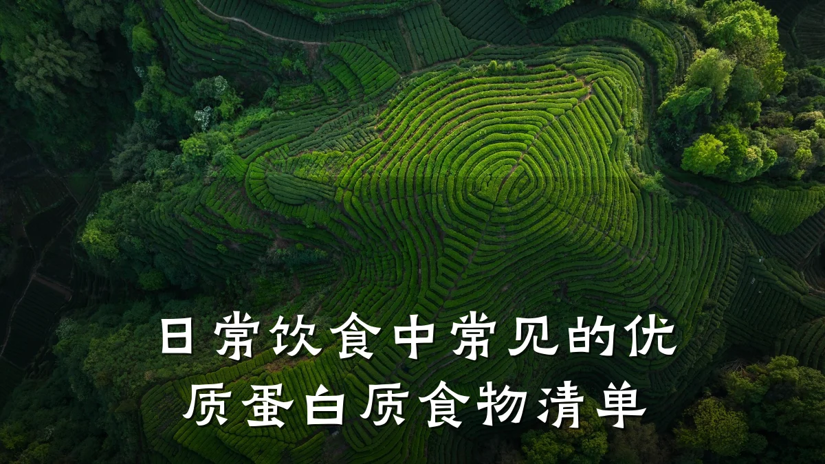 日常饮食中常见的优质蛋白质食物清单