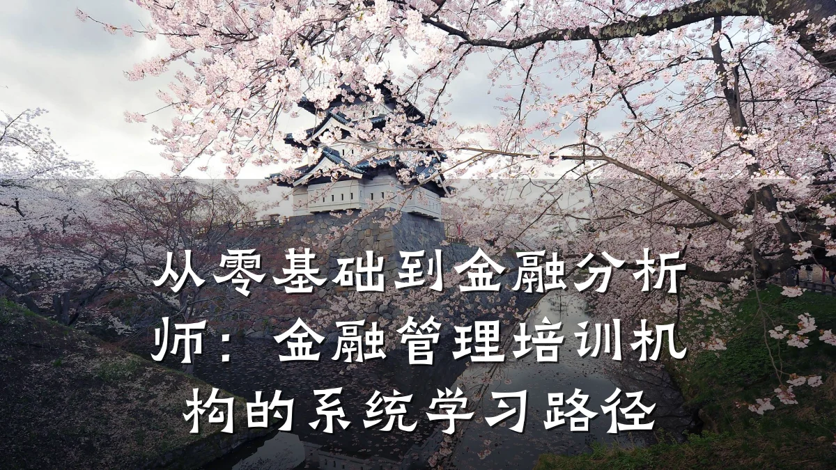 从零基础到金融分析师：金融管理培训机构的系统学习路径