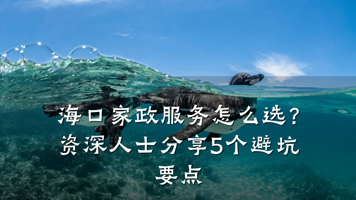 海口家政服务怎么选？资深人士分享5个避坑要点