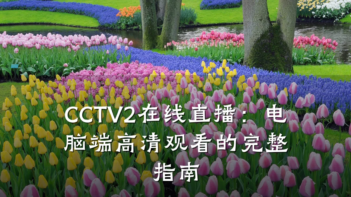 CCTV2在线直播:电脑端高清观看的完整指南