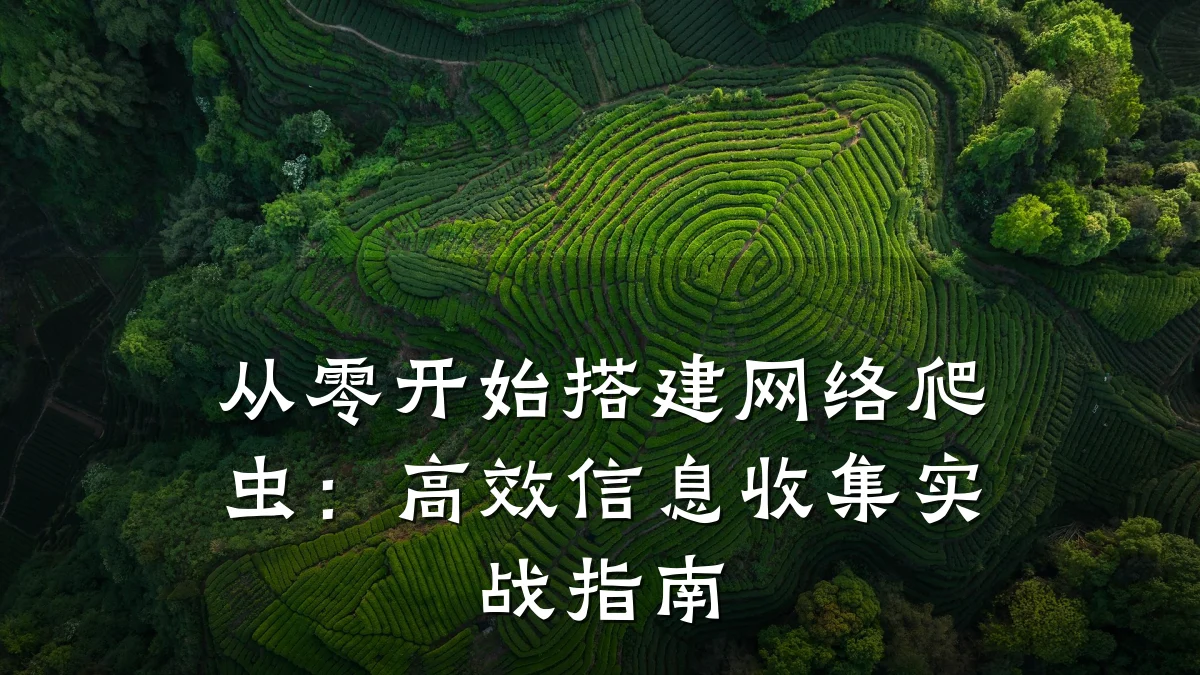 从零开始搭建网络爬虫:高效信息收集实战指南
