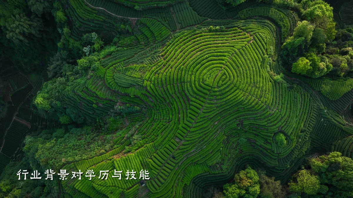 行业背景对学历与技能