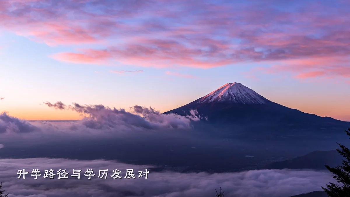 升学路径与学历发展对