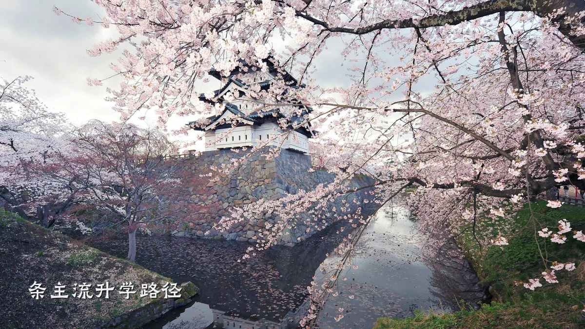 条主流升学路径