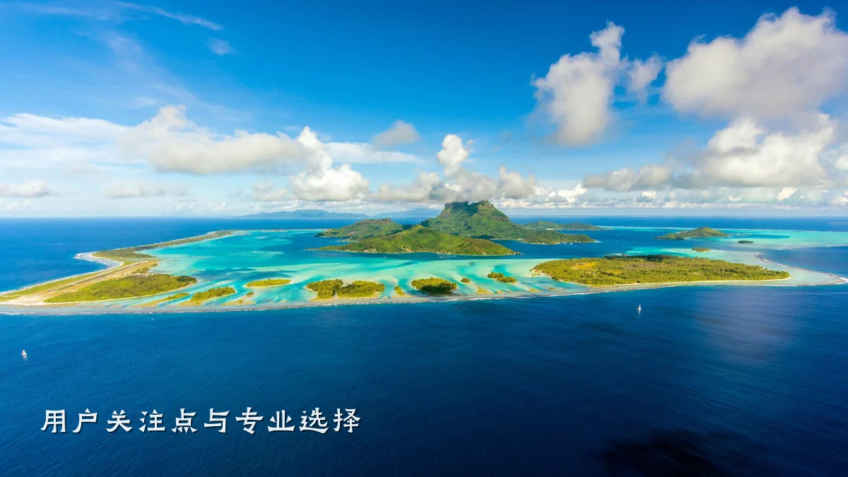 用户关注点与专业选择