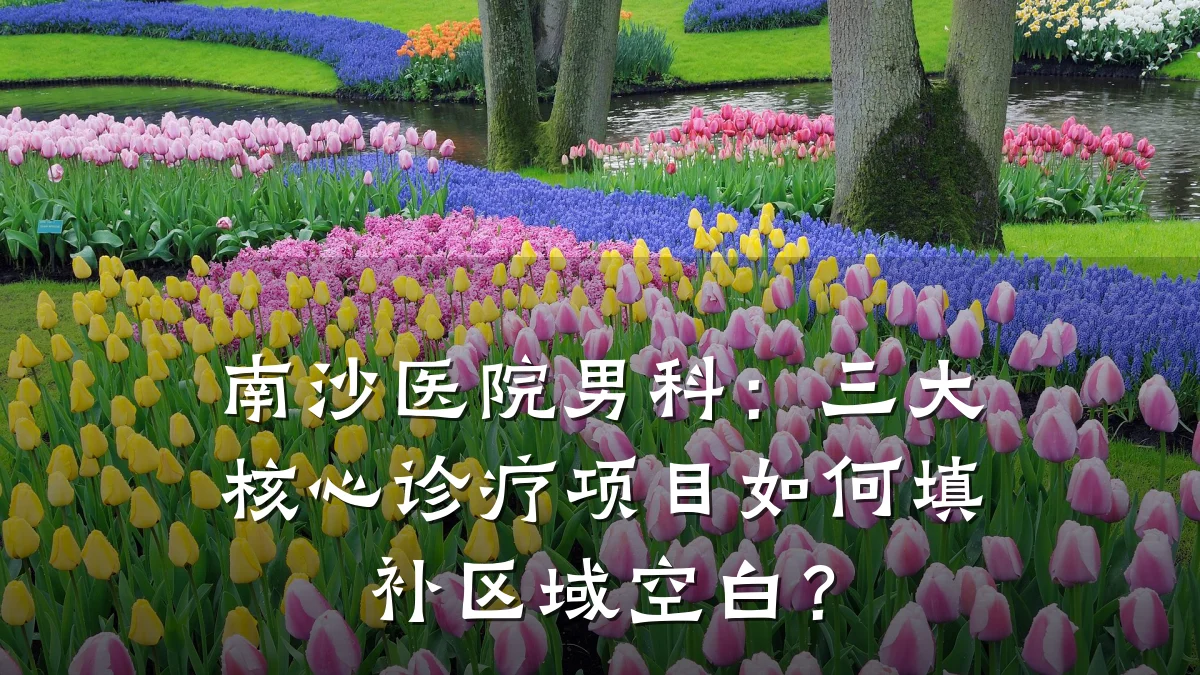 南沙医院男科：三大核心诊疗项目如何填补区域空白？
