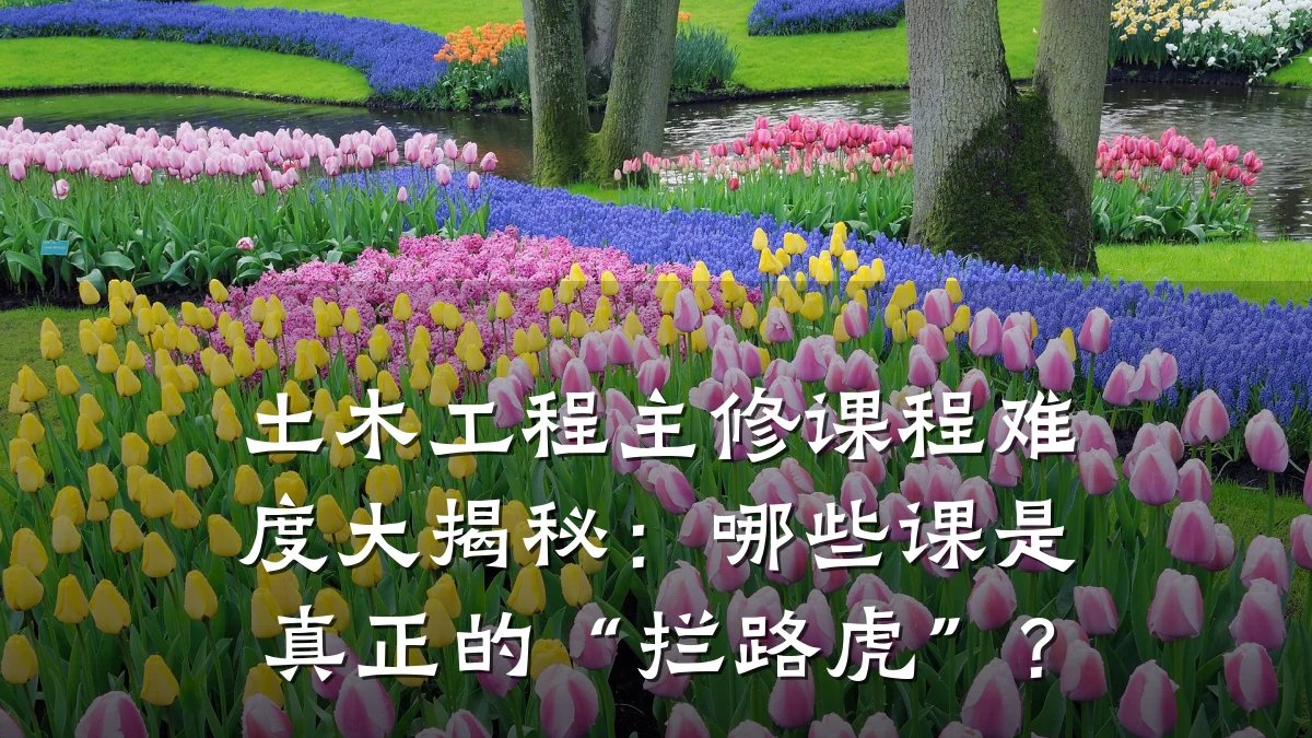 土木工程主修课程难度大揭秘:哪些课是真正的“拦路虎”?