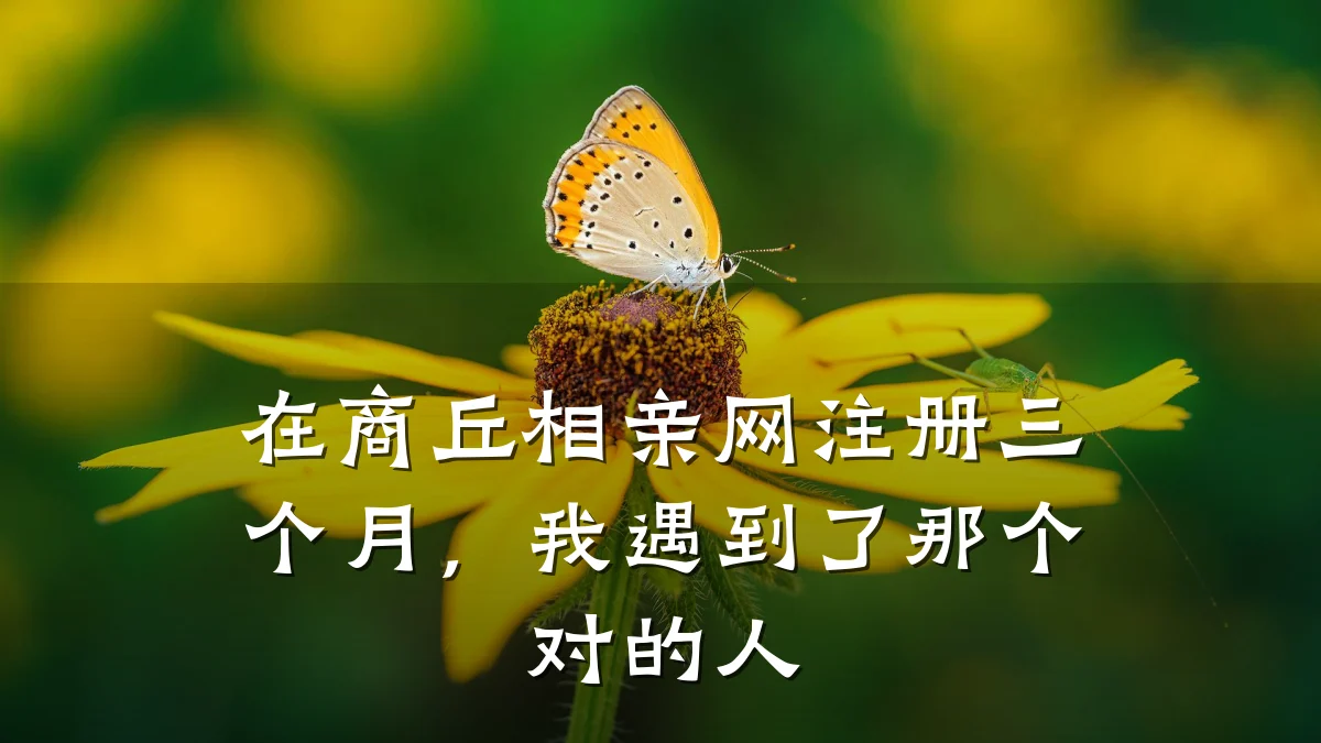 在商丘相亲网注册三个月，我遇到了那个对的人