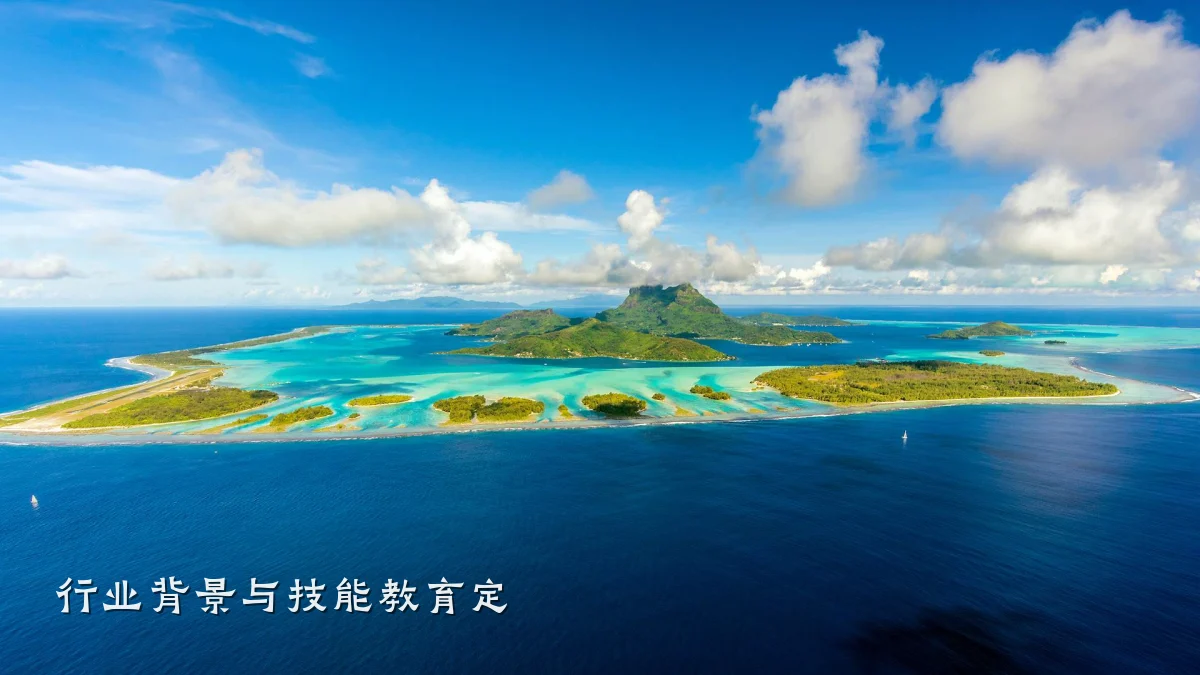行业背景与技能教育定