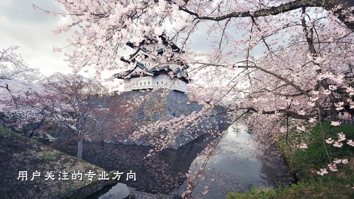 用户关注的专业方向