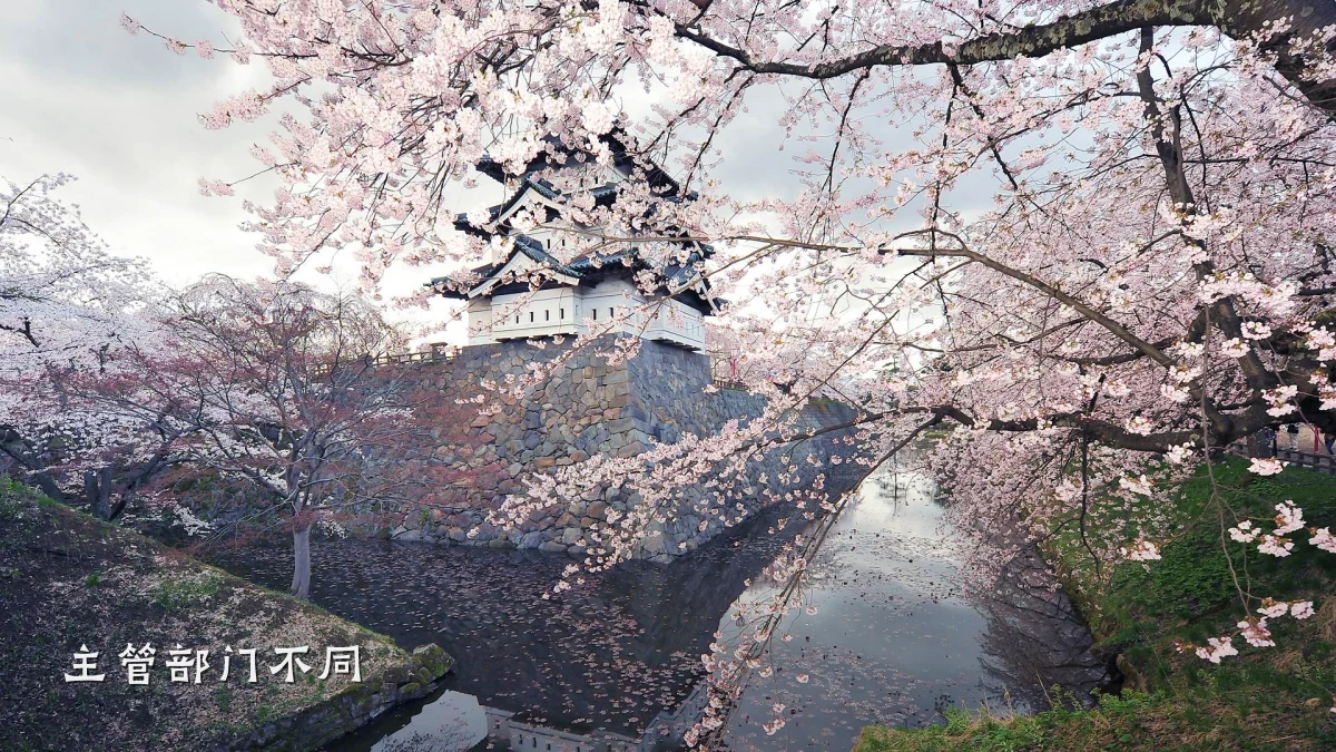 主管部门不同