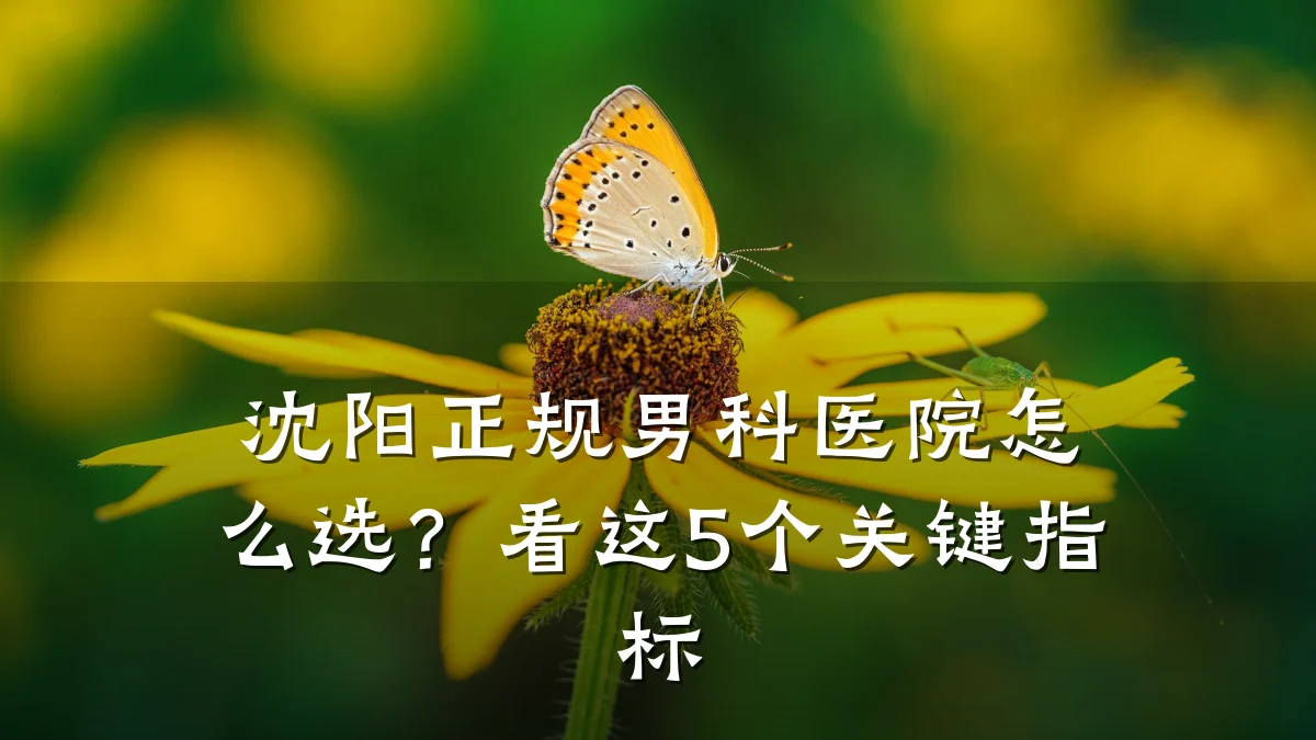 沈阳正规男科医院怎么选？看这5个关键指标