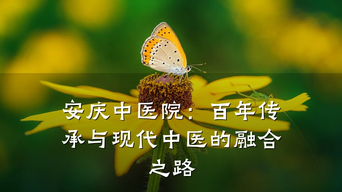 安庆中医院：百年传承与现代中医的融合之路