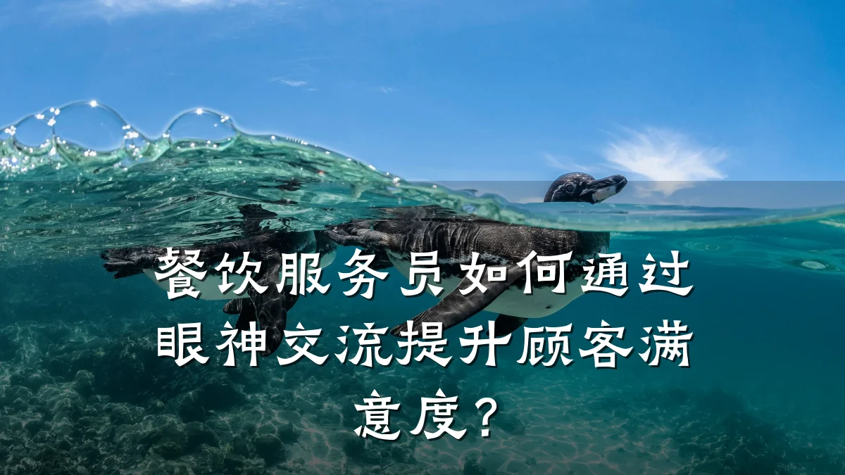 餐饮服务员如何通过眼神交流提升顾客满意度?