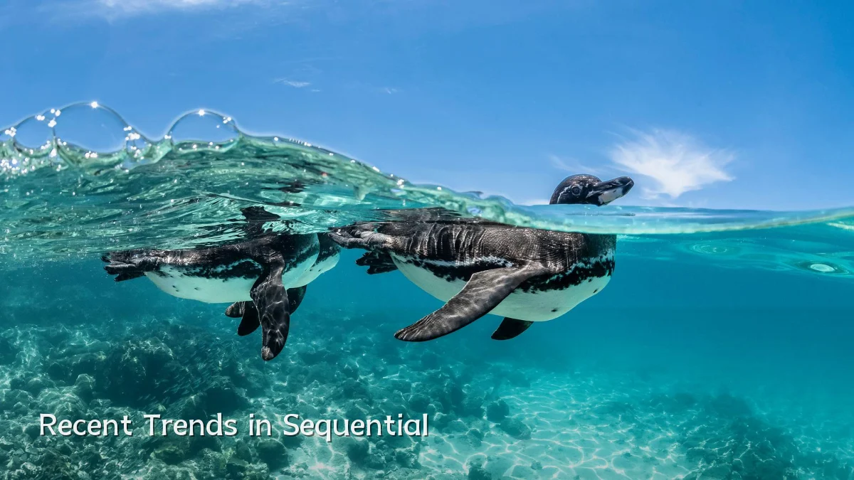 Recent Trends in Sequential