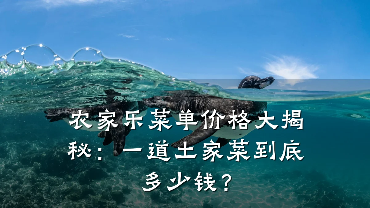 农家乐菜单价格大揭秘:一道土家菜到底多少钱?