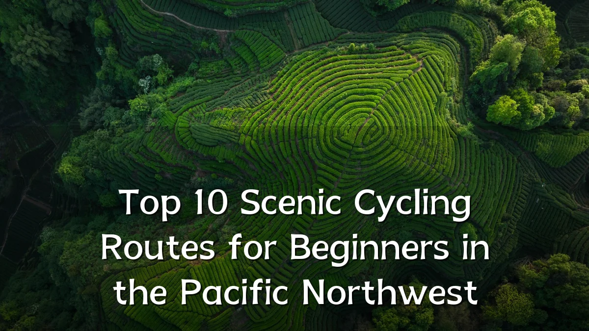 Top 10 Scenic Cycling Routes for Beginners in the Pacific Northwest
