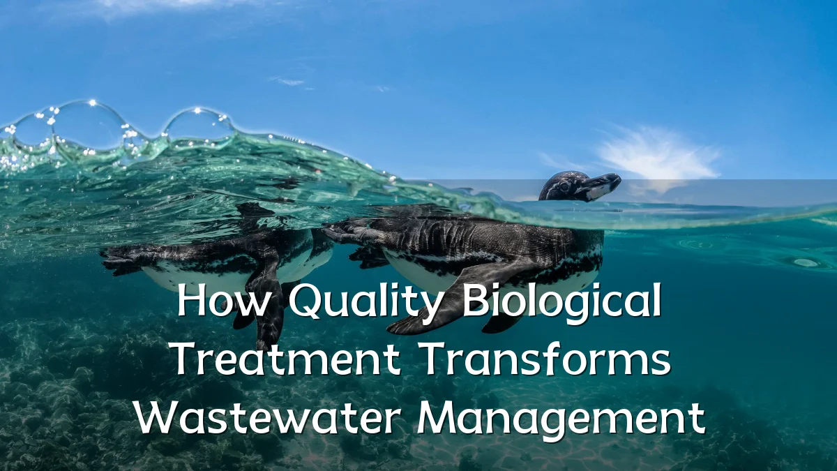 How Quality Biological Treatment Transforms Wastewater Management