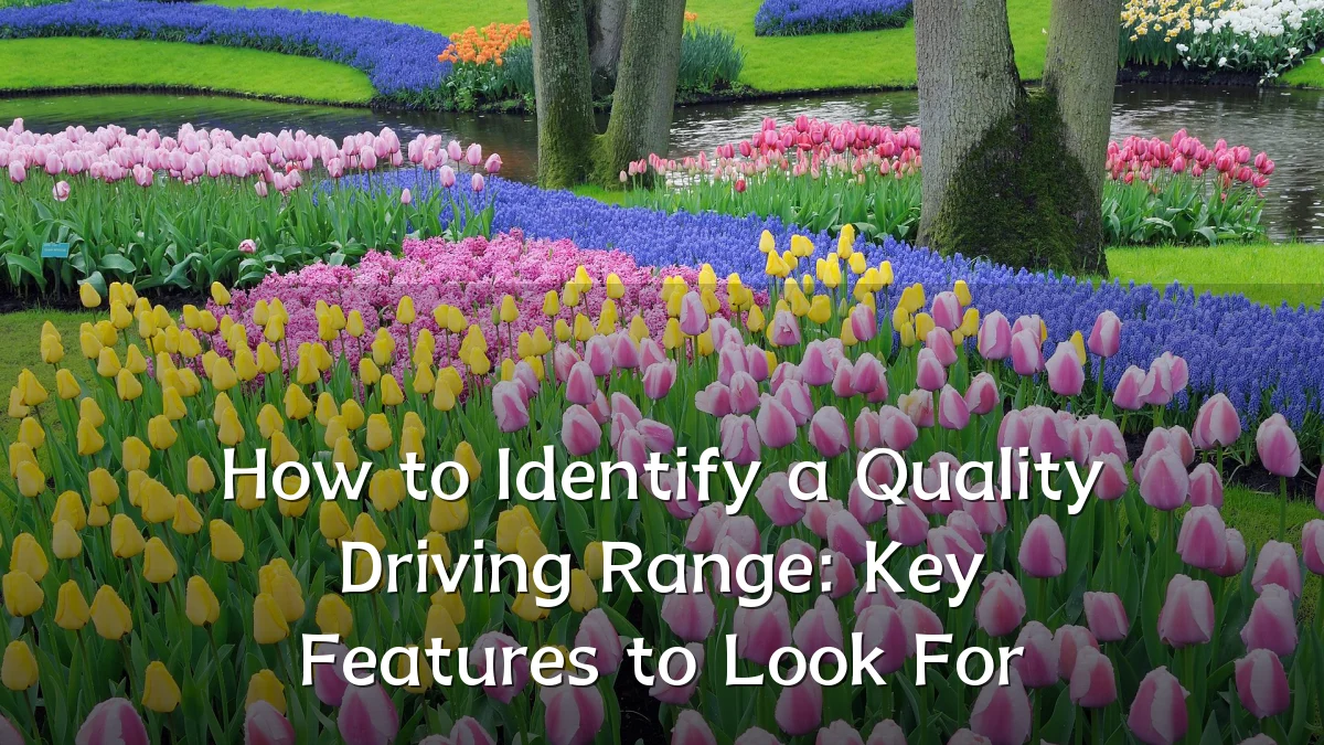 How to Identify a Quality Driving Range: Key Features to Look For