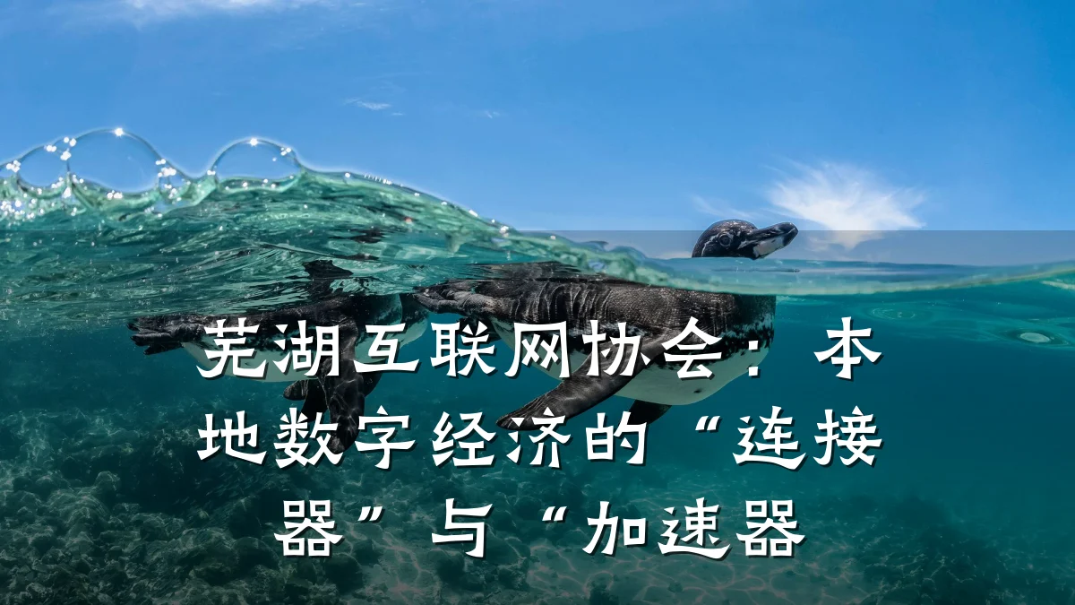 芜湖互联网协会:本地数字经济的“连接器”与“加速器