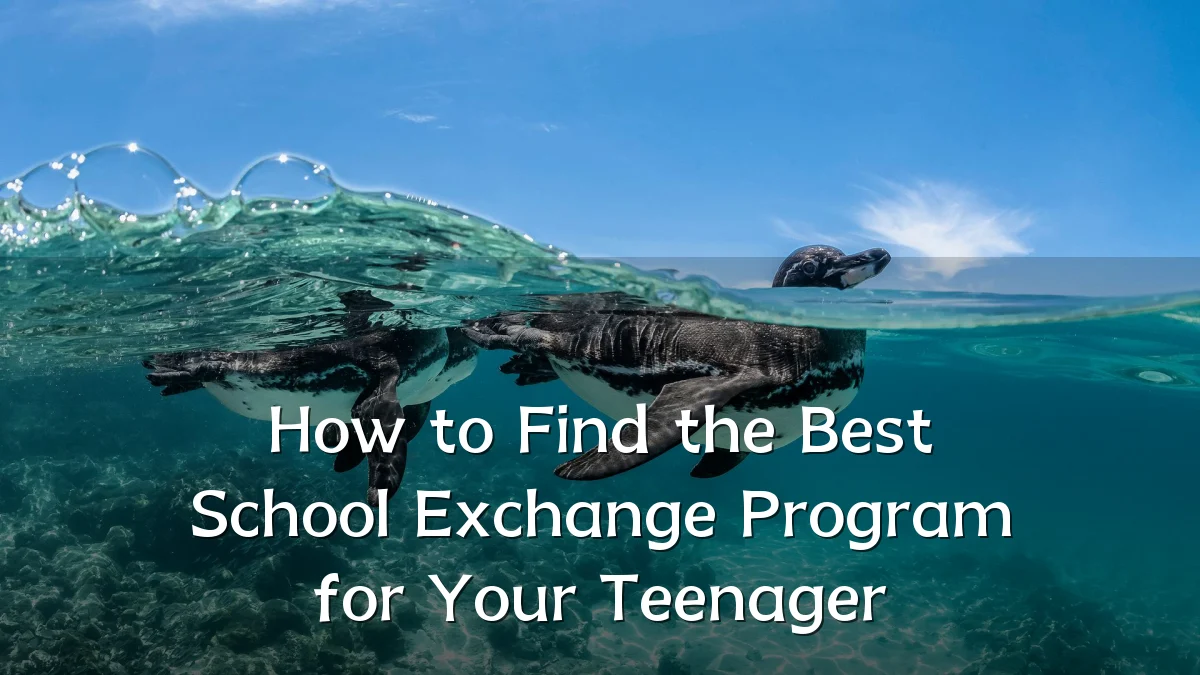 How to Find the Best School Exchange Program for Your Teenager