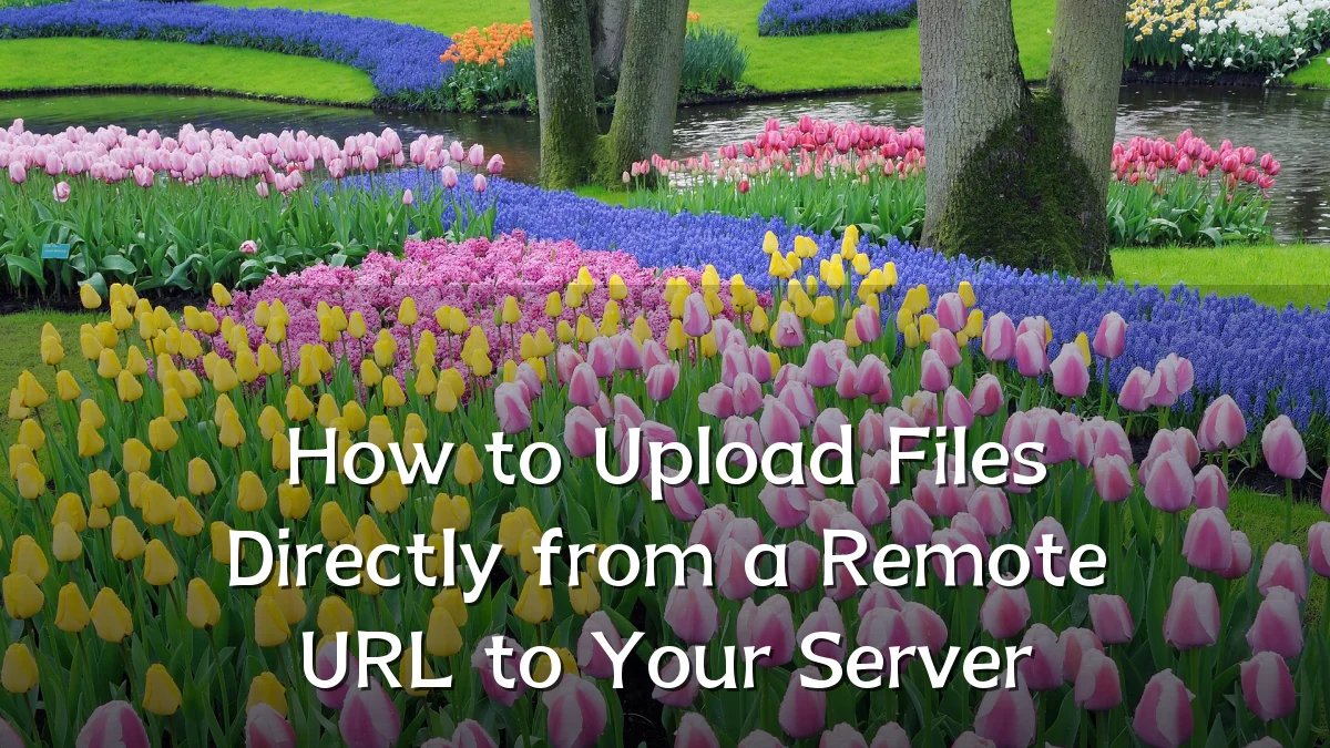 How to Upload Files Directly from a Remote URL to Your Server