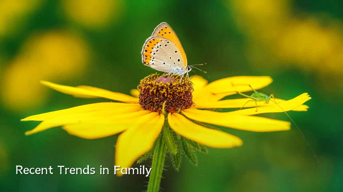 Recent Trends in Family