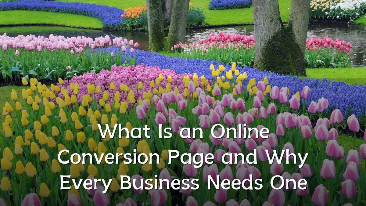 What Is an Online Conversion Page and Why Every Business Needs One