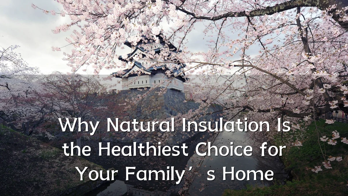 Why Natural Insulation Is the Healthiest Choice for Your Family’s Home