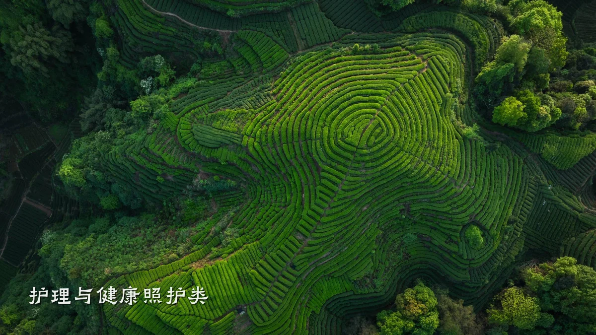 护理与健康照护类