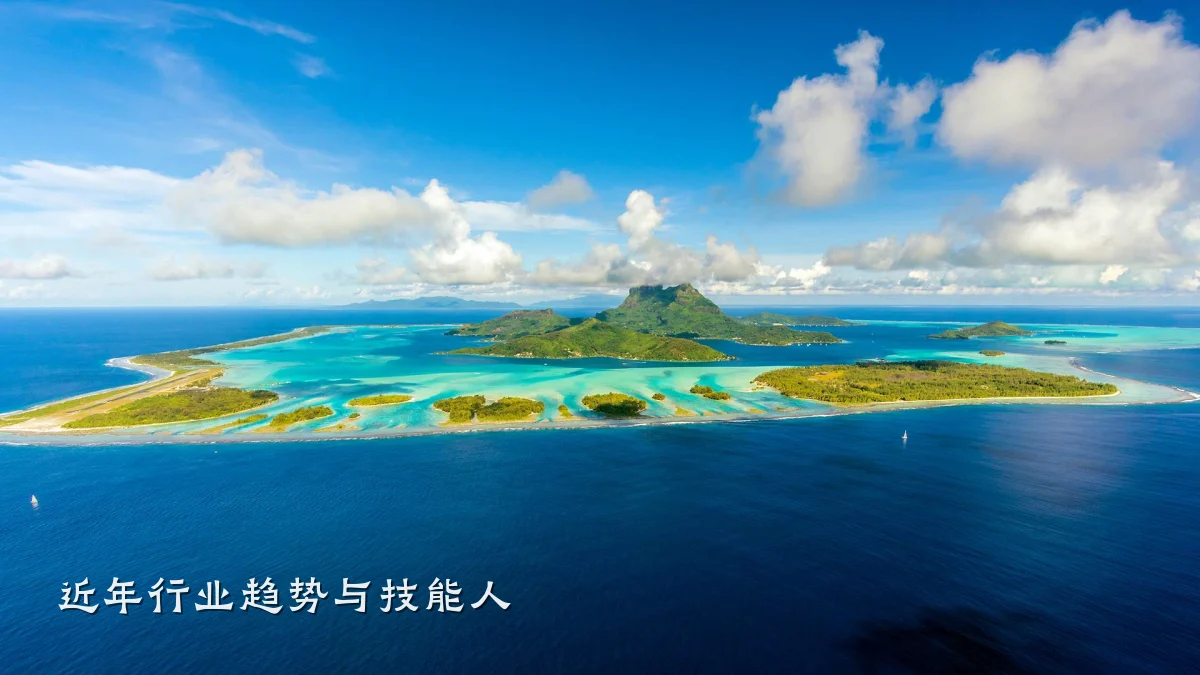 近年行业趋势与技能人