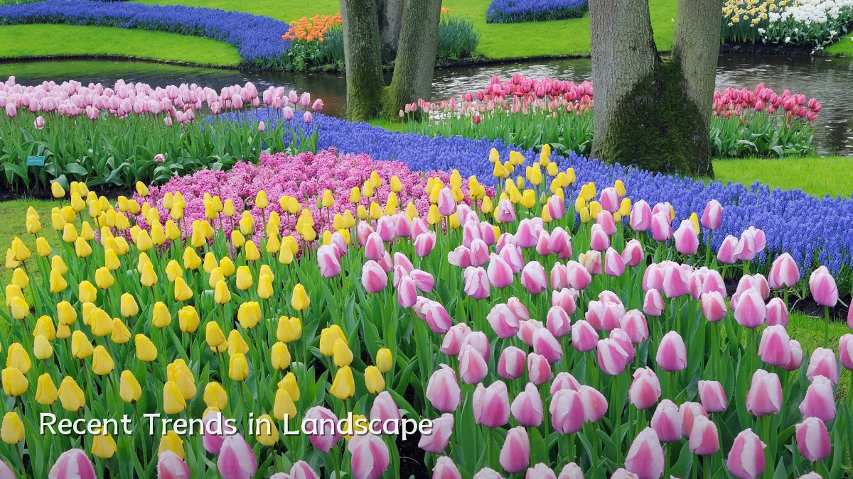 Recent Trends in Landscape
