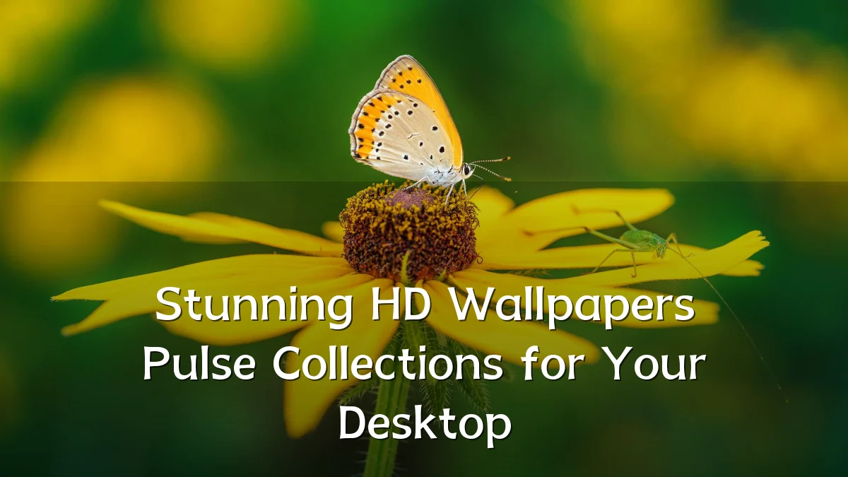 Stunning HD Wallpapers Pulse Collections for Your Desktop