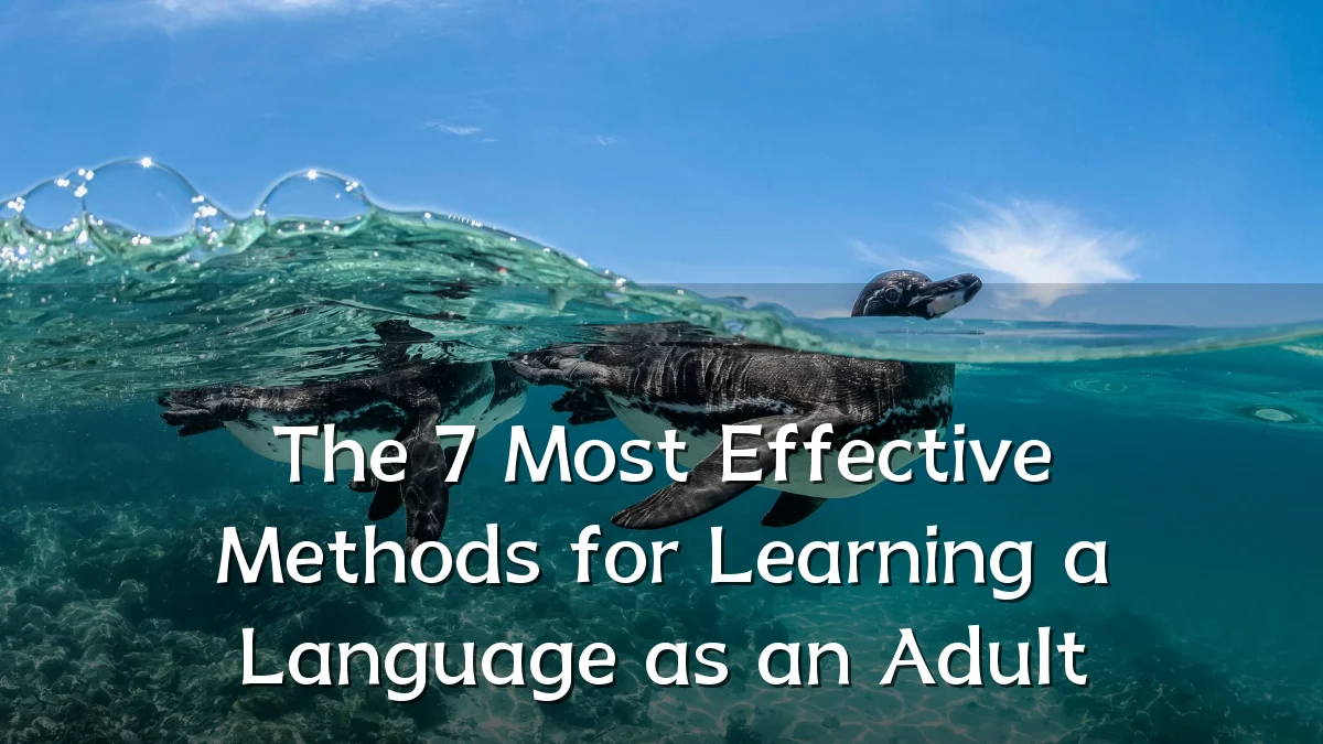 The 7 Most Effective Methods for Learning a Language as an Adult
