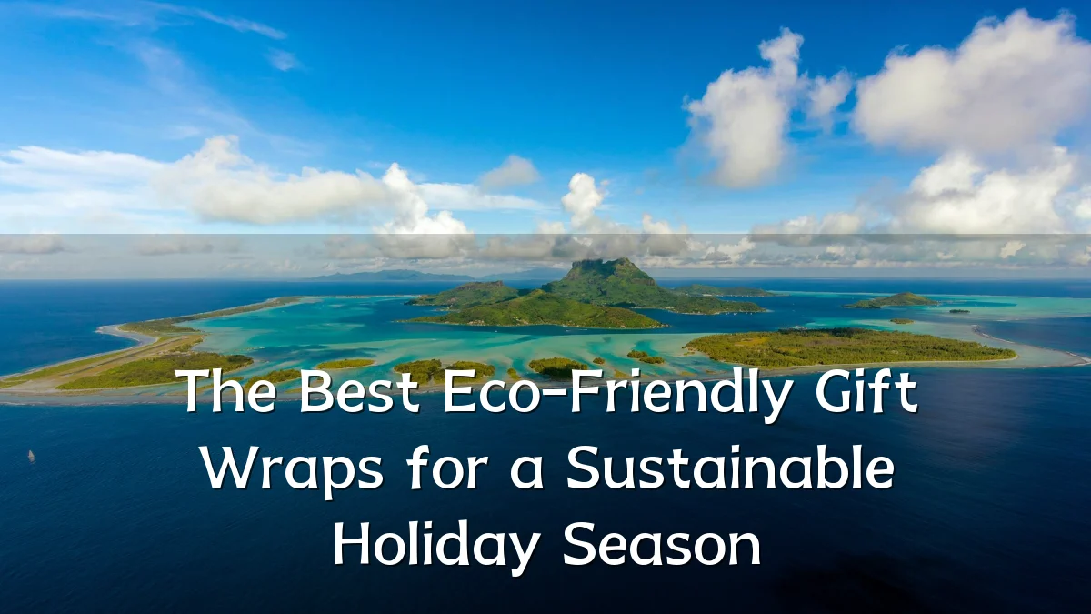 The Best Eco-Friendly Gift Wraps for a Sustainable Holiday Season