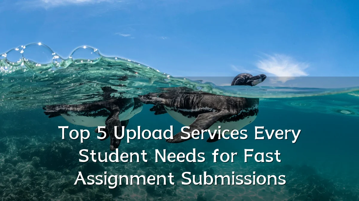 Top 5 Upload Services Every Student Needs for Fast Assignment Submissions