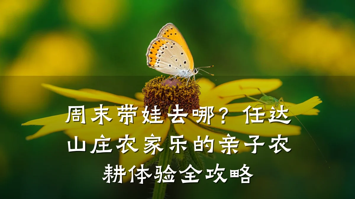 周末带娃去哪?任达山庄农家乐的亲子农耕体验全攻略