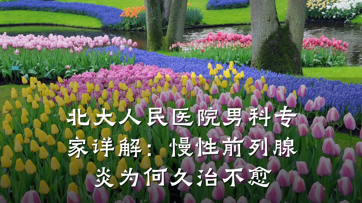北大人民医院男科专家详解:慢性前列腺炎为何久治不愈