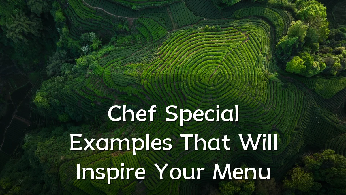Chef Special Examples That Will Inspire Your Menu