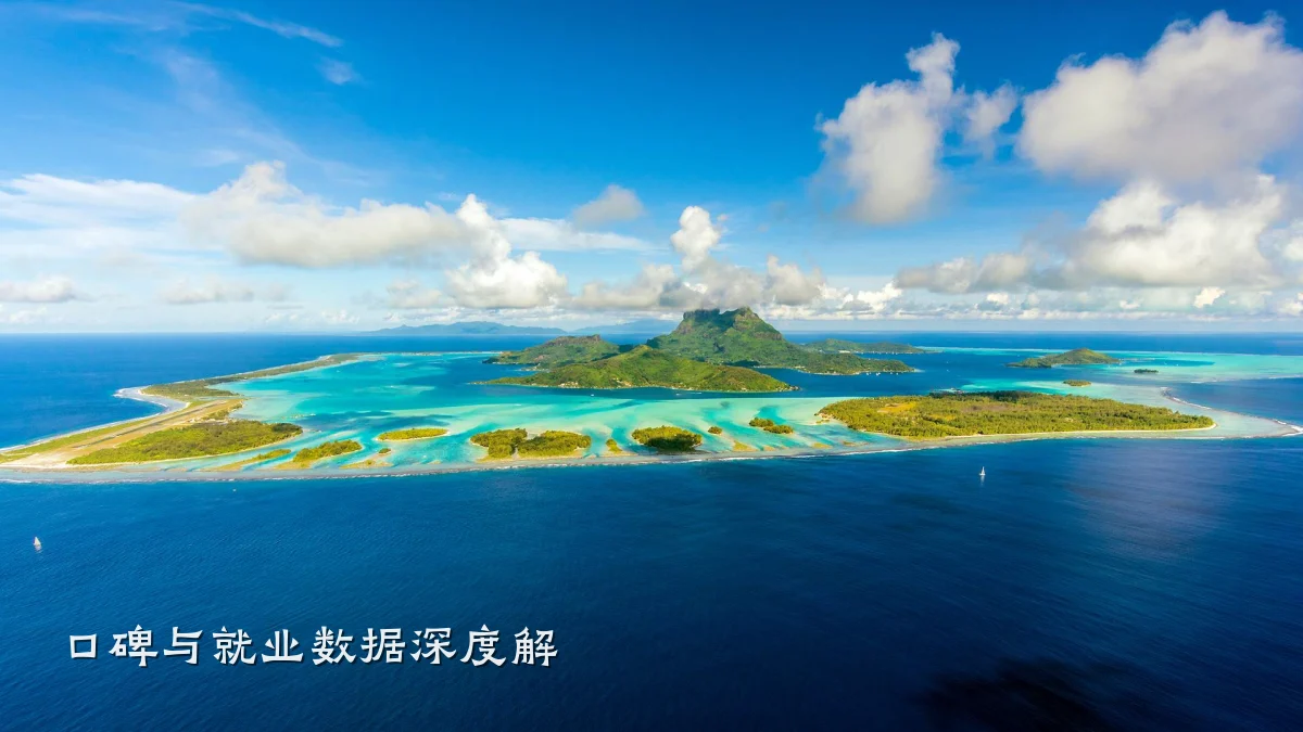 口碑与就业数据深度解