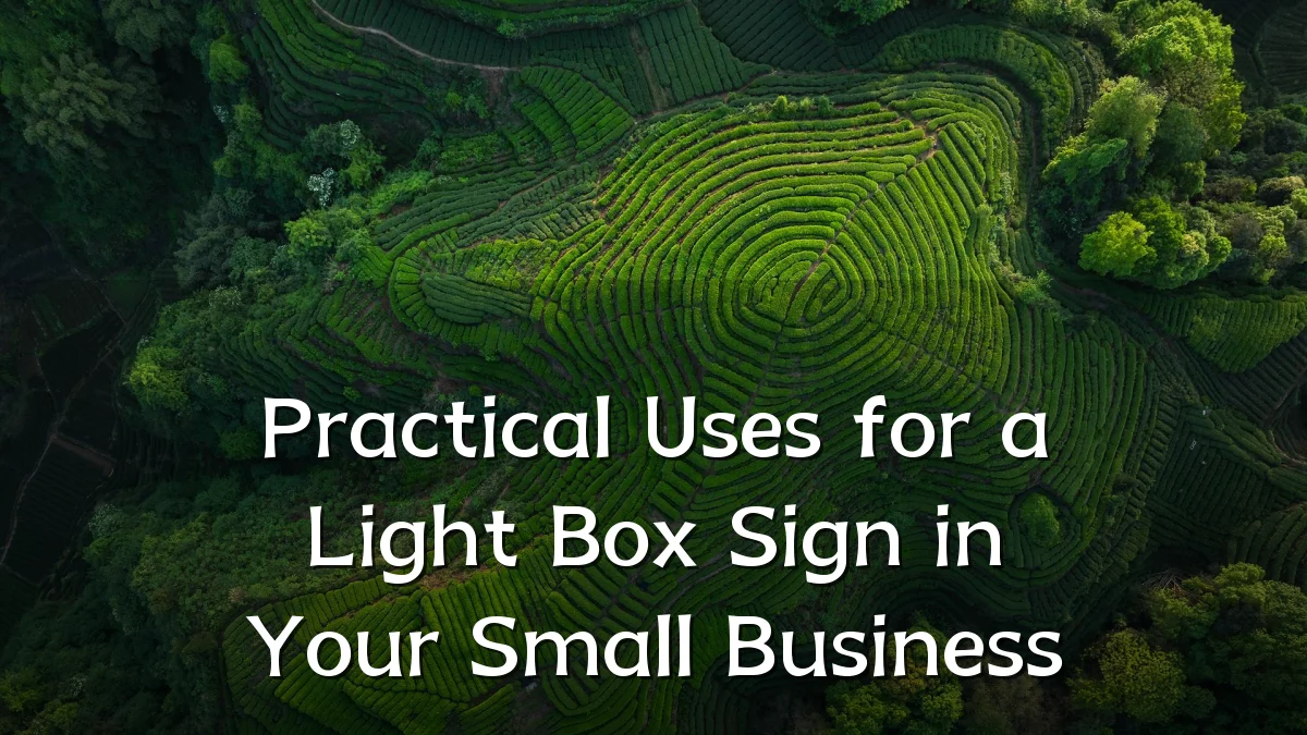 Practical Uses for a Light Box Sign in Your Small Business