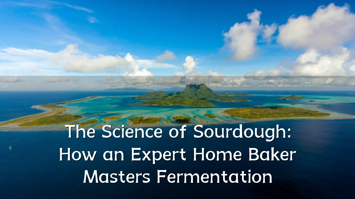 The Science of Sourdough: How an Expert Home Baker Masters Fermentation