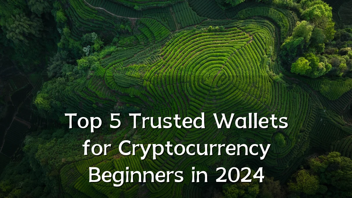 Top 5 Trusted Wallets for Cryptocurrency Beginners in 2024