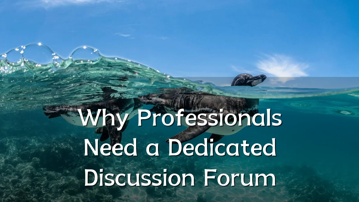 Why Professionals Need a Dedicated Discussion Forum