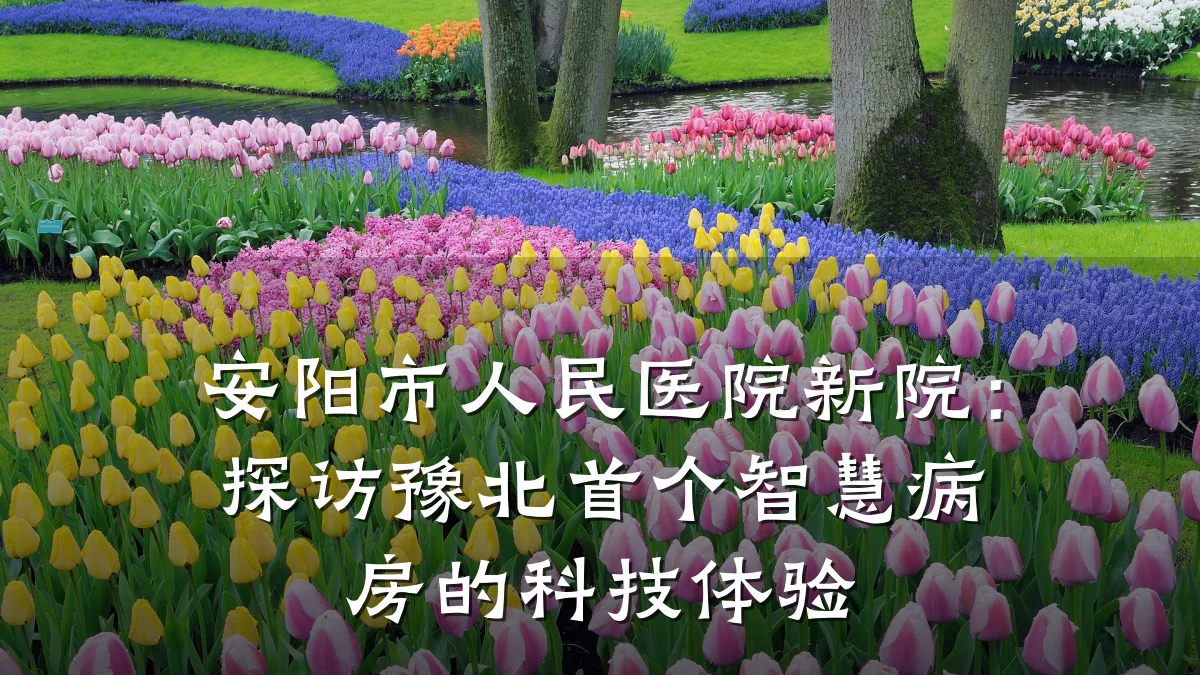 安阳市人民医院新院:探访豫北首个智慧病房的科技体验