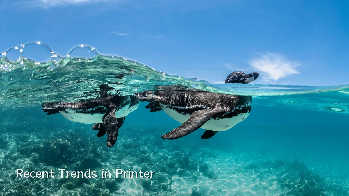 Recent Trends in Printer